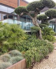 Les Jardins du Plateau image 6