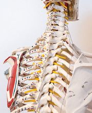 HAND'WERKSTATT Bild 4