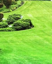 Martin Epple Garten- und Landschaftsbau Bild 1