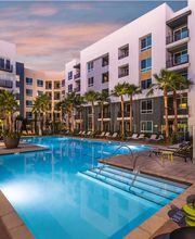 Rize Irvine image 5