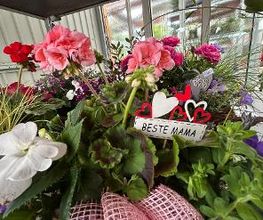 Blumen Haider Bild 7