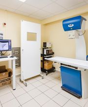 Clinique Vétérinaire Rive Ouest image 10
