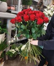 Blumen Dahlmann Bild 9