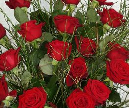 La Rose Rouge image 1