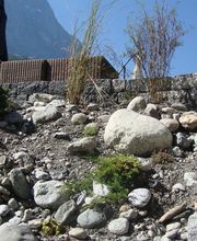 G. Bucher Gartenbau GmbH Bild 3