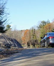 Correduría Antasur imagen 5