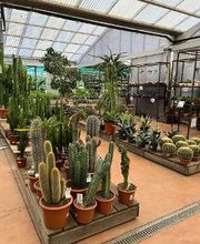 Villaverde Grimaud image 8