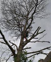 RS Elagages Services image 4