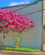 C.E. Muegge Real Estate image 1