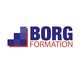 Borg Formation