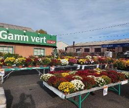 GAMM VERT image 6