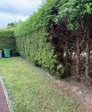 Le Petit Paysagiste image 3