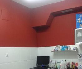 Kukume centro veterinario imagen 6