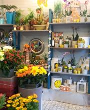 Birkner Blumen Bild 7