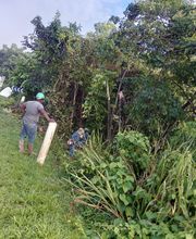 Services De Nettoyage image 11