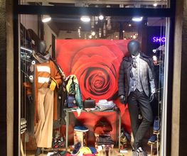 Show Rooms image 7