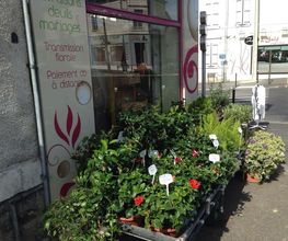 Le Langage Des Fleurs image 1