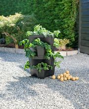 SaatGut Hassler Bild 5