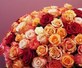 Muggli Blumen AG Bild 9