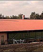 BBG Dachdecker GmbH Beelitz Bild 10