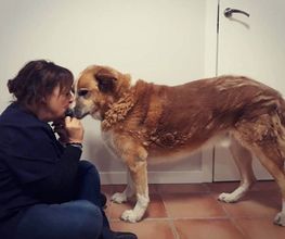 Arca Veterinaria imagen 15