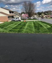 Shepherds View Landscaping & Tree Removal, LLC image 18