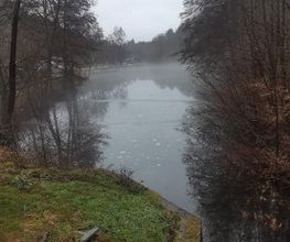 Achathotel \"Zum Schwan\" Bild 8