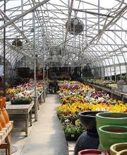 Breshear's Nursery & Greenhouse image 15