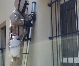 A4D Sanitation image 6