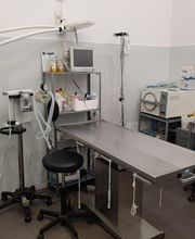 clinica-veterinaria-bau-bau-7.jpg