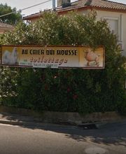 Au Chien Qui Mousse image 1