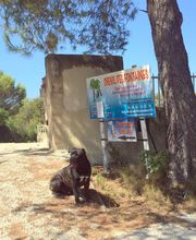 Chenil Des Fontaines image 7