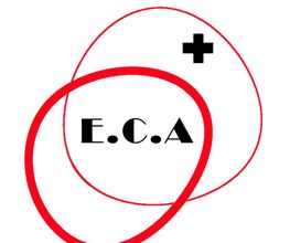 ECA Bâtiment image 2