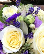 Lägere Blueme GmbH Bild 14