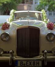 Blumen Hetzer Bild 9