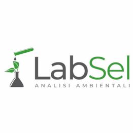 Labsel srl logo