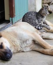 Kleintierpraxis am Bahnhofplatz Bild 2