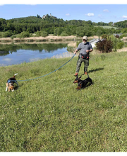 Wuff-Ontour Hundetraining & Gassi-Service Bild 6