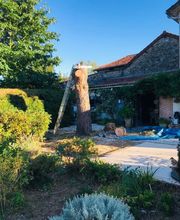 Julien Machefer Elagage EI image 4