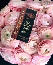 Les Fleurs D'Isis by Rénald image 1