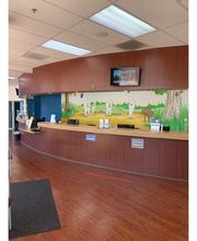 Western Dental & Orthodontics Kids image 1