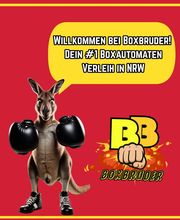 Boxbruder Bild 3