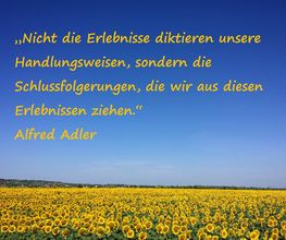 BeCoSe - Beratung, Coaching & Seminare Bild 6