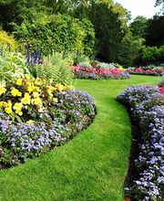 Garten- und Landschaftsbau Thomas Nowak Bild 3