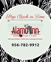Alamo Inn B&B, Gear & Tours image 14