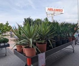 HELLWEG - Die Profi-Baumärkte Berlin Bild 17