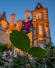 Le Château des Tourelles en Vendée image 7