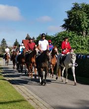 Reiterhof Daugzin C. Edel & E. Berkhahn GbR Bild 4