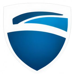 SVD SEGUROS