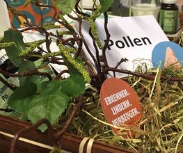Allergiebehandlung